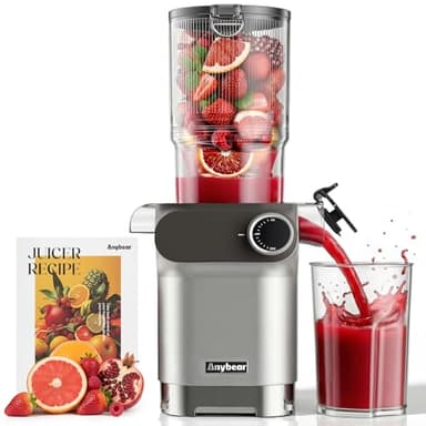 Extractor de Jugo Anybear, 200W Slow Juicer Masticador Lento, Tolva de Alimentación Grande de 10 cm para Frutas y Verduras | Barrena Mejorada | Material Tritan | Libre de BPA (gris plateado)