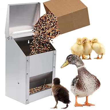 BREUAILY Comedero Automatico Gallinas Capacidad 4.5 kg Comedero Gallinas de acero Inoxidable Colgar Alimentador de aves de Corral Accesorios para Gallinero (Plata)
