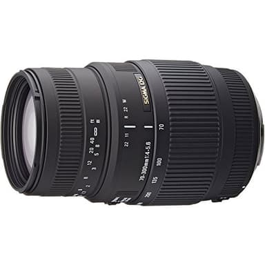 Sigma 70-300/4-5.6 BMD Macro DG - Objetivo para Nikon (Distancia Focal 70-300mm, Apertura f/4-5,6, Macro, diámetro: 58mm) Color Negro